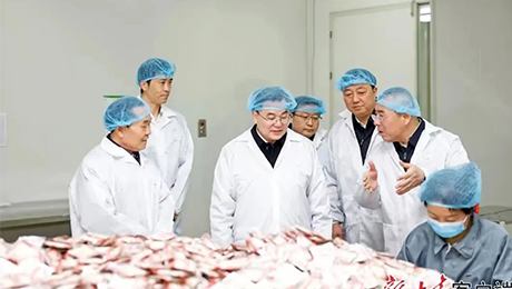 甘肃省委书记胡昌升莅临太阳成城集团tyc234cc古天乐健康集团佛仁制药考察调研